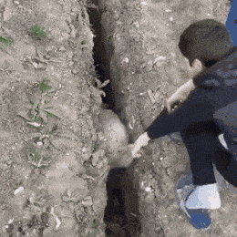 00704634853ffa961fe9e63e99ce9895.gif