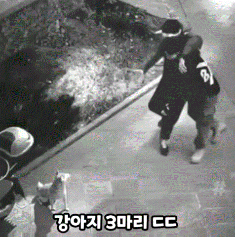 02964428fdcd5a19950ffe482b60c0d4.gif