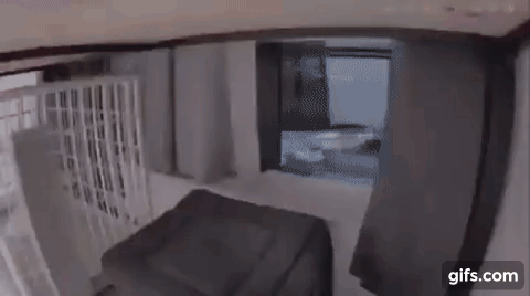 0637b6f006e735e4e563ad50c70ee6fd.gif