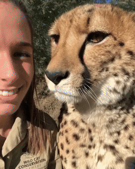 09406b42dc92a27f046462e5b84b879e.gif