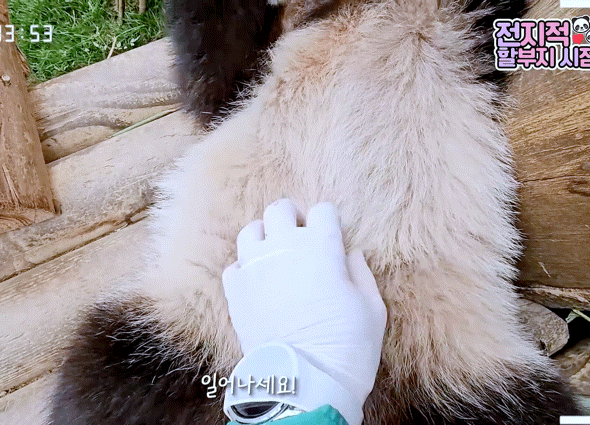 097001deb83a2b59a09ebab45888ddf5.gif