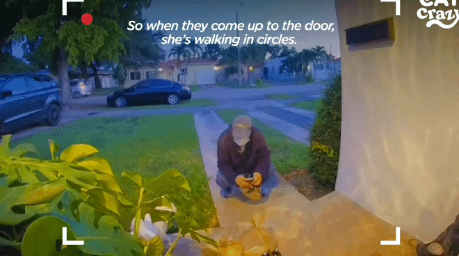 0981c3c6623c3ccda9479ad7e0c529b4.gif