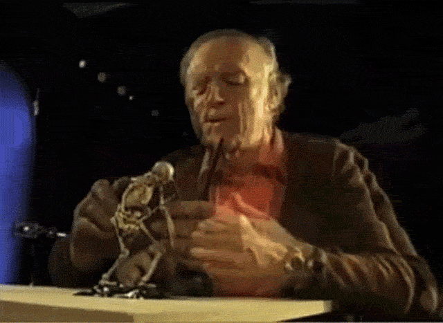 09b2114379053616e278f83bad7b64e5.gif