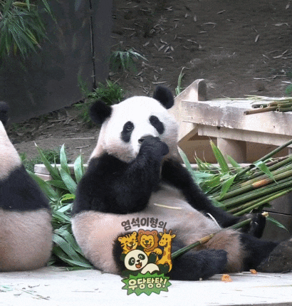 0a1ed7e91b2c7979ca200d8802c0f14b.gif
