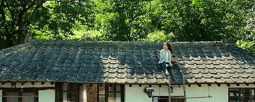 0ae02f6b8e1b41d3286ec61fb28875ed.gif
