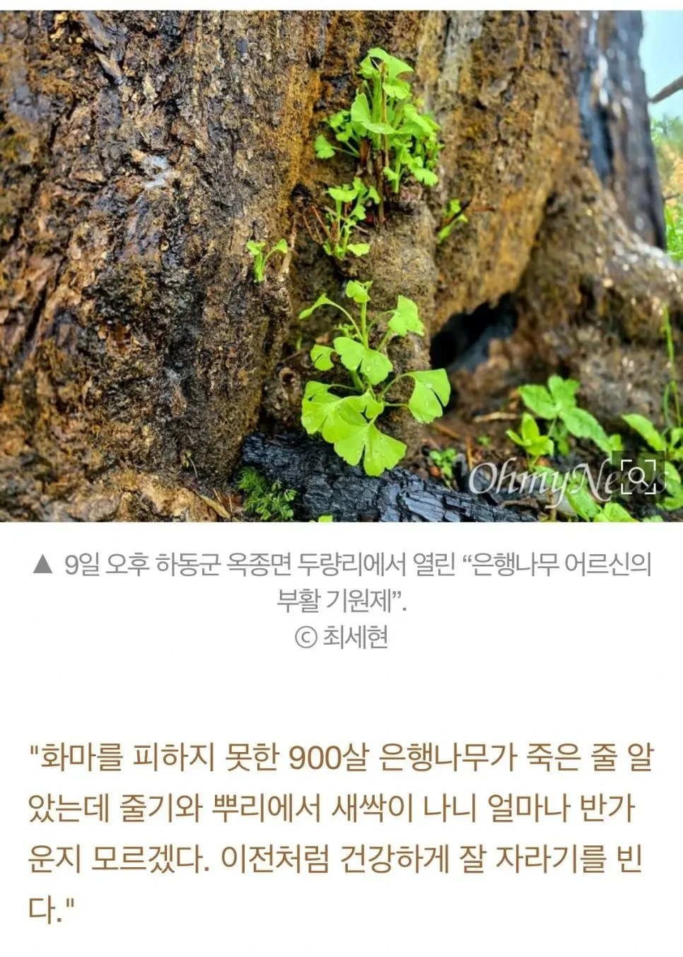 0d8f010b6c87e6e6273e78ea64da128a.webp