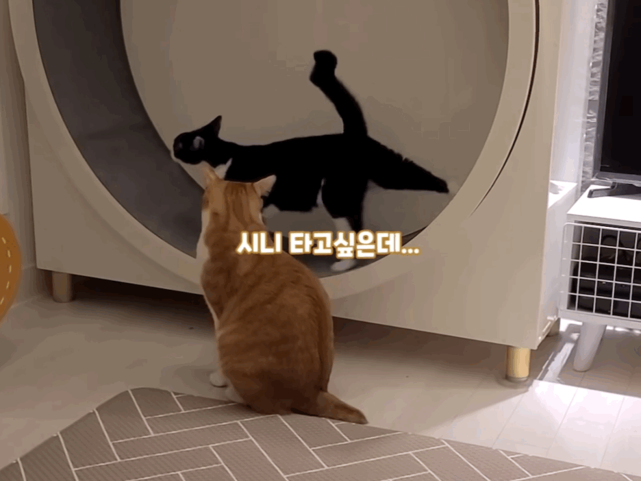 0f800d6715c9d0c9eed2a82a9cba86af.gif
