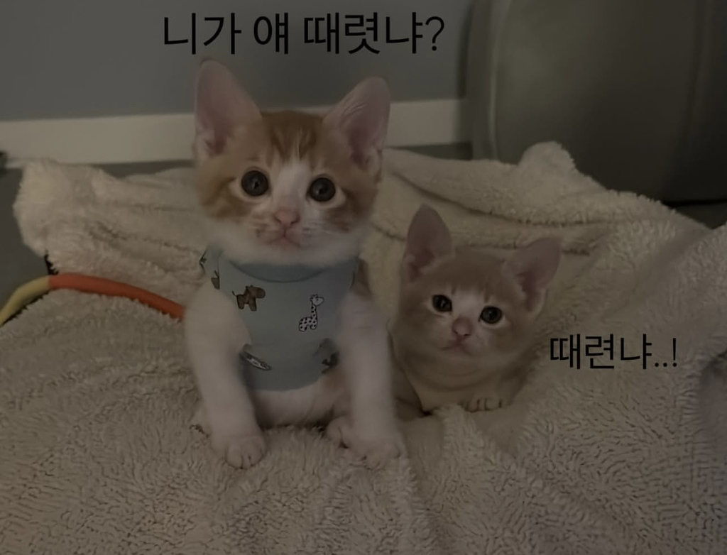106a92c8e81ffd856fa9c540c467913e.jpg