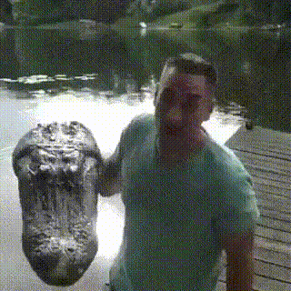 106cf508964f946aefa1f8bac9345c26.gif