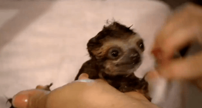 110adc9b088d994c9c1bc9bcc410170b.gif