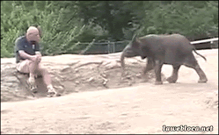 111a085ecefd13cee273b5a1870a6cae.gif