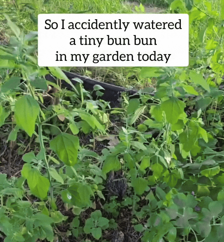 119b1fe0c33af81313d2586268c60e92.gif