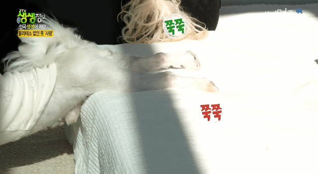 123a29c9f16eb4b2431ce5f244b8ff1c.gif