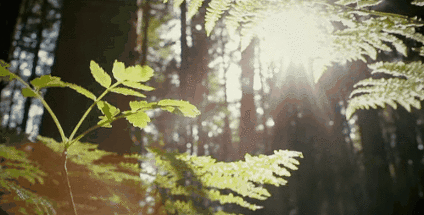 136f5f3b061257b7bf136fe7b36af523.gif