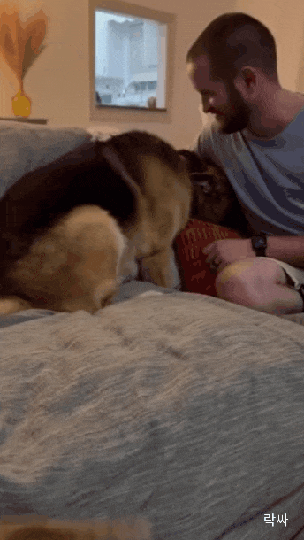14c85a8f9ecabcc83b2a6ac9b7fd7c7e.gif