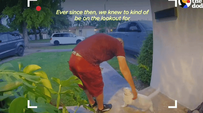 1543d368583e2596029d0e9a847abe12.gif