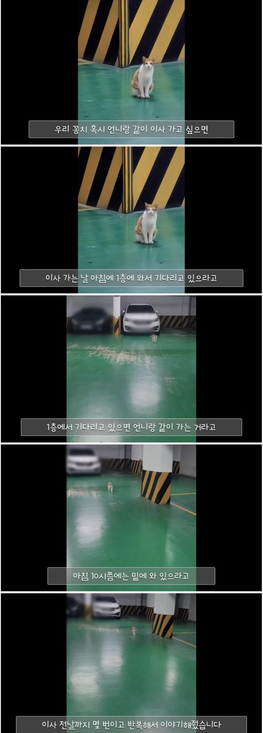 19ab1930e2c7ef133e1deabbf8ff6be2.jpg