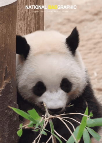 19b2486925b03182e12ed763a0b82060.gif