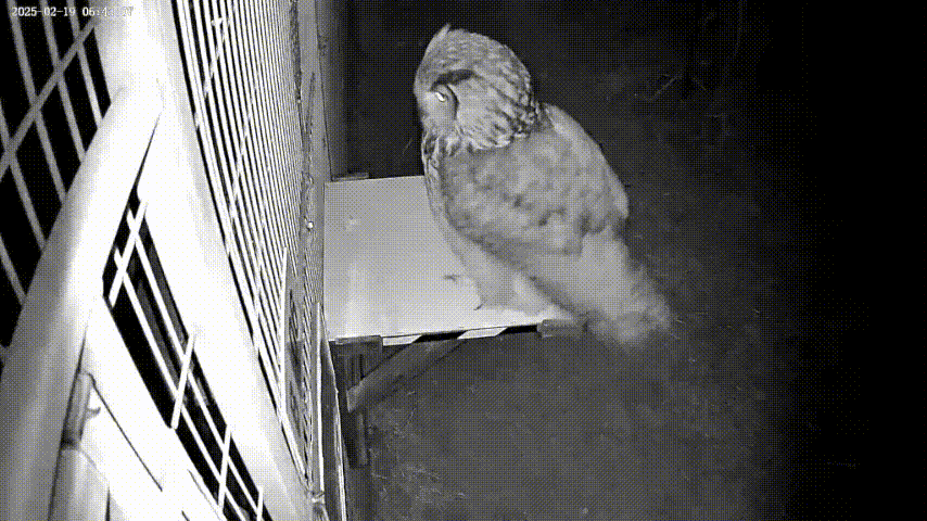 19c353e41e4dd96048bc3d778deed6c0.gif