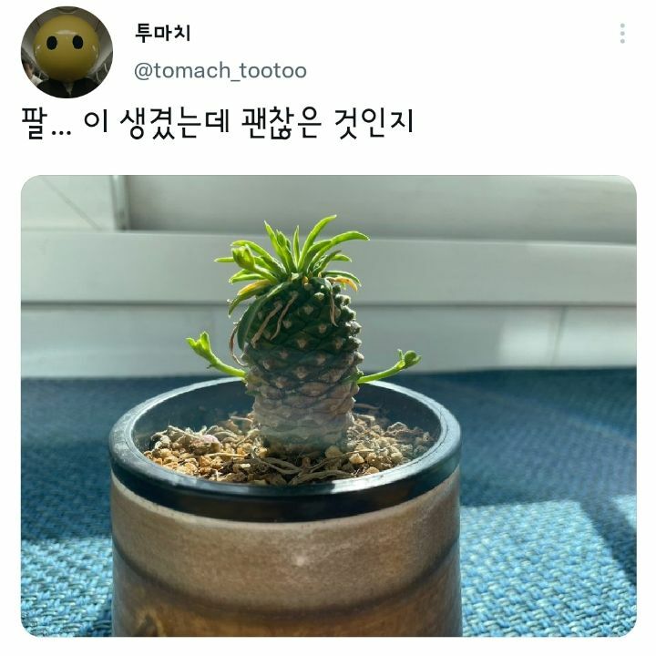 1affdc57c1c1d42f6b6a7c09ce4b6eb9.jpg