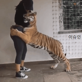 1b6aa4e54a21a361357d05aa0b81f152.gif