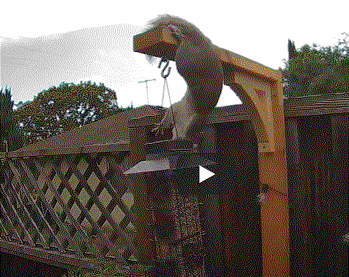1b885d1462a86c1125304ceea430271b.gif