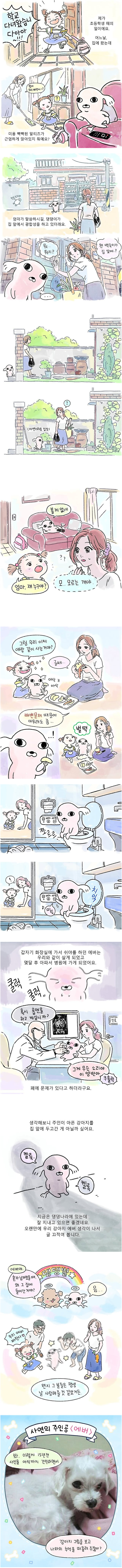 1bb3d7554acd703446d79fa84404718a.png