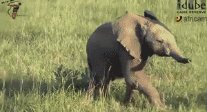 1e7208a286070402e8b1f15e05140877.gif