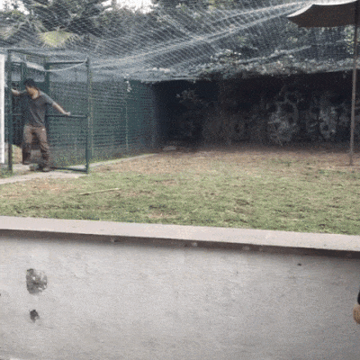 1ed62b038e9210d53ec5d15919ab4c81.gif