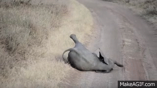 2038d381d8a397466e44230ce7b104ab.gif