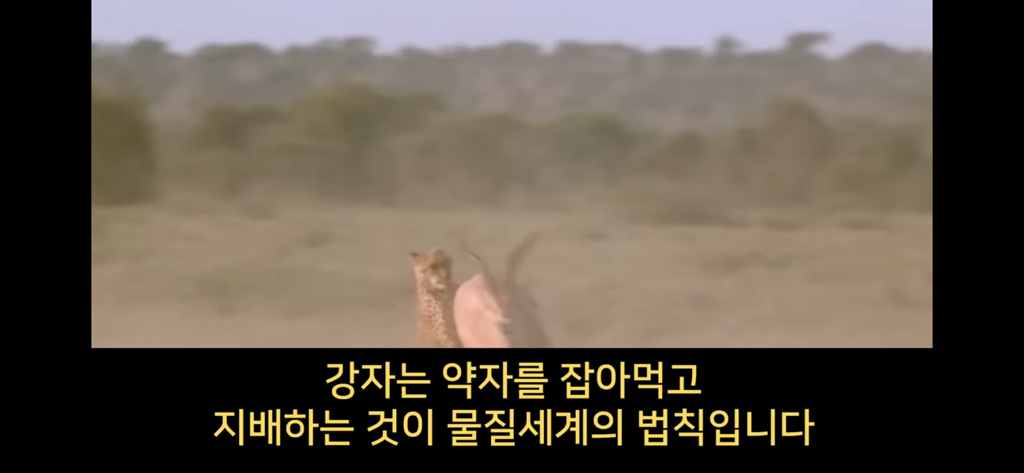 20840c39379585755489eb537b27044f.jpg