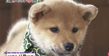 21dbc79e08c27465eac28c198f0e2c7f.gif