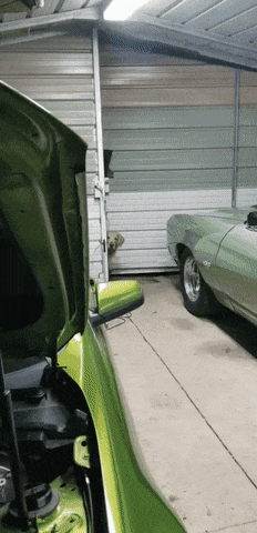220cf9b60277f8e8e2c85dfe9a683710.gif