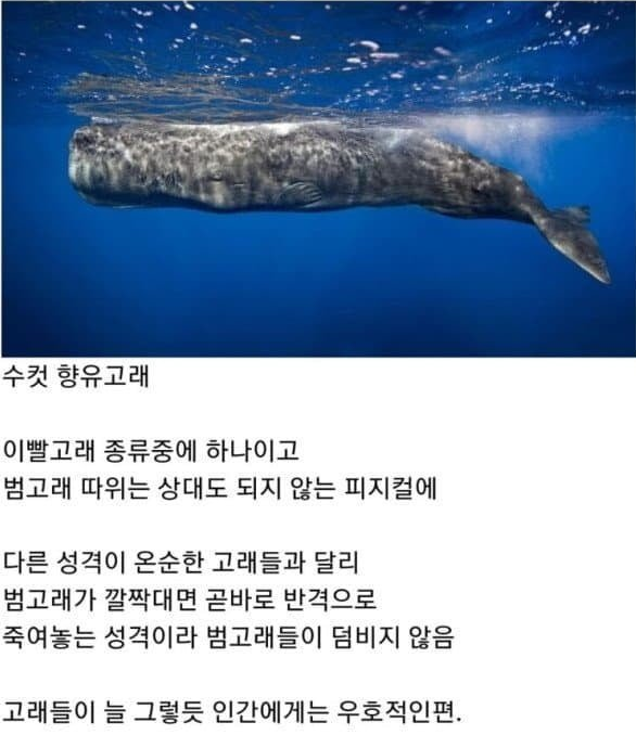230a74e47437fe86b1b69ae3b8ca96c1.png