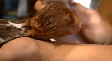 25456dc7e78d066f81daf6fd66d86888.gif
