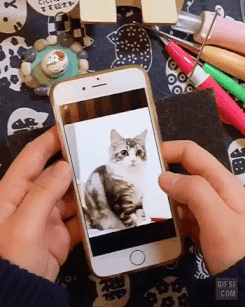 257f32b4b3ed509b50f64792473afa3d.gif