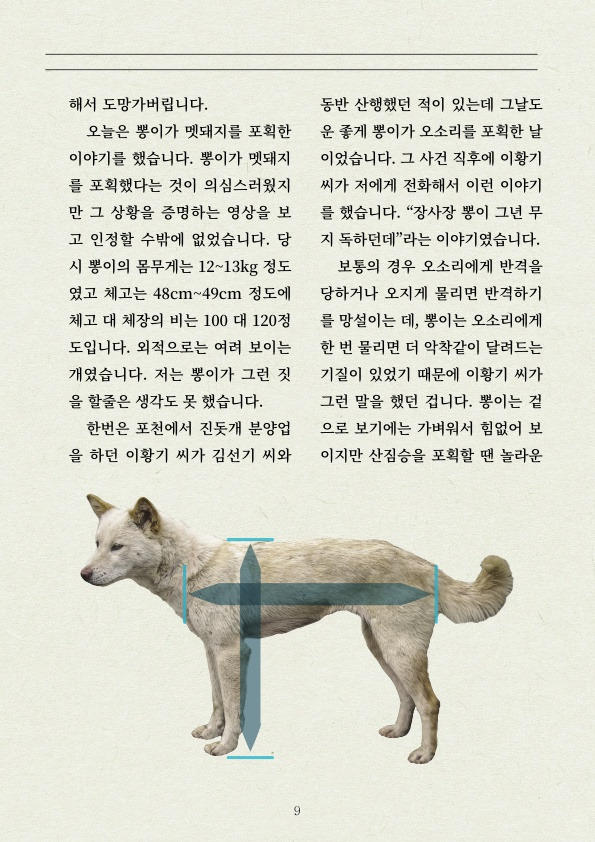 2ad0263683c27a80aebd5de89ab572ee.jpg