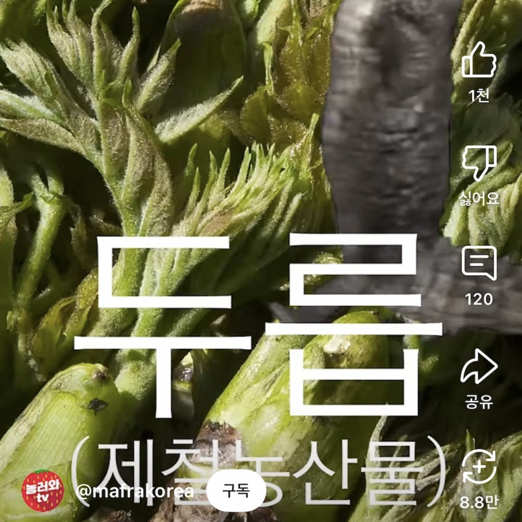 2ccaef98f46f8e9f6f78431b90a7ddbf.jpg