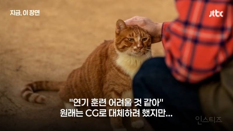 2e1df1be67cc960a3e22bd770f64e3fb.jpg