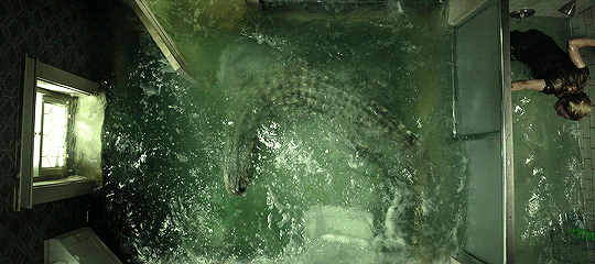 2ea170ffac5cacf31d837fe74a132d9b.gif