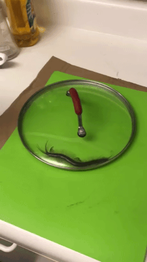 2f1b5e3ba8382d71acd2bcd715afb243.gif
