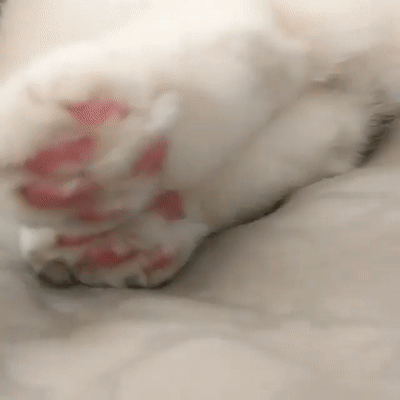 327683203ff6f3da603e3bdac1e365dd.gif