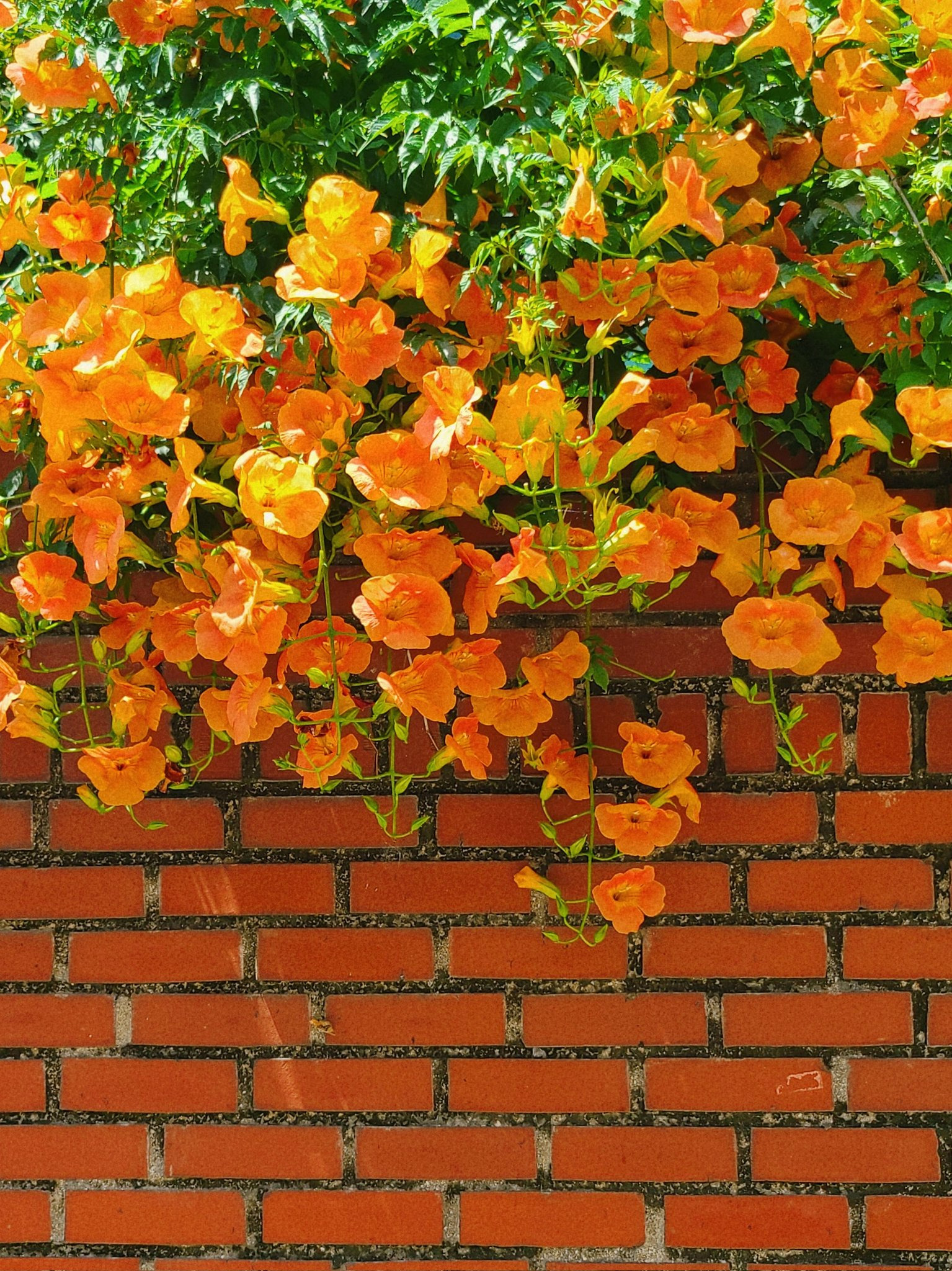 334c0b5e893f9130c59c7e200ba59328.jpg
