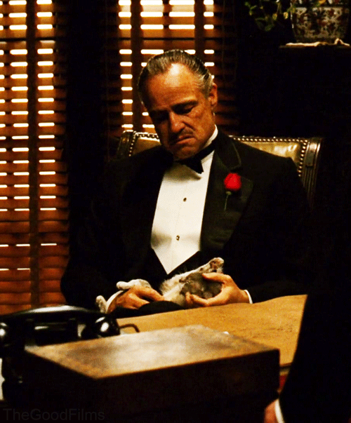 33585da1f1efb5820c0e0dcebfab4b34.gif