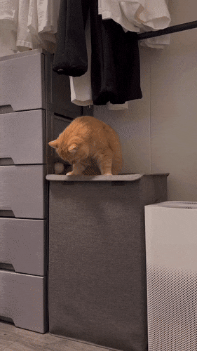34a95e790f6cda8b418ef4137c9e1b18.gif