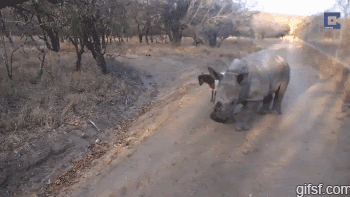 373f8bc5bac7e53af45fb9ca13ac874f.gif