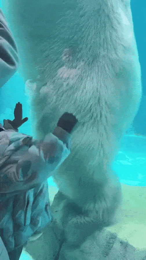 379f3f92ff376e957f2a608141efd2a6..gif