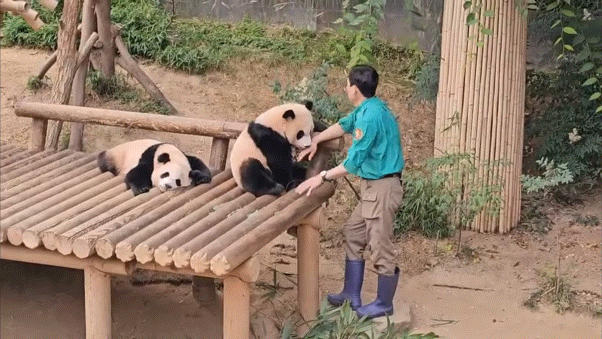 38aba7401490777a417ad0bca6f9ea79.gif
