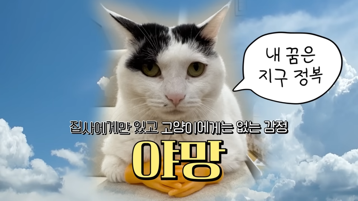 398e74793191a38d3fe21ef5079d885b.png