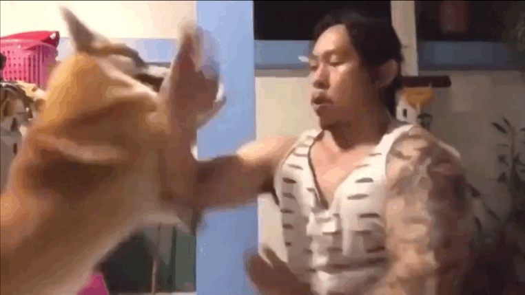 3d84d2fa2cd2fc71ecf629f68e0ea69f.gif